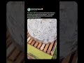 MOVING A GIANT BEE SWARM