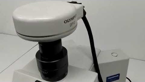 Olympus DP12 Digital Camera w/ LCD Display [BOSTONIND] - 13895