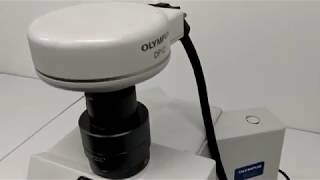 Olympus DP12 Digital Camera w/ LCD Display [BOSTONIND] - 13895
