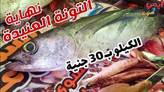 طريقة تنظيف وسلخ سمكة التونه العنيدة? وتقطيعها فيليه وإعدادها للطهي Fish Filleting yellowfin tuna