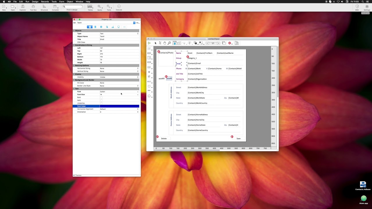 4D Project: Tips for object groups in the Form Editor - YouTube
