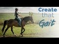 Training the Gaited Horse that Trots and Paces - before and after