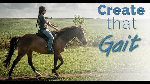 Training the Gaited Horse that Trots and Paces - b...