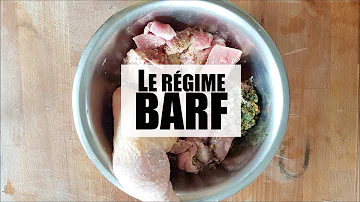 Comment donner du BARF à son chien ?