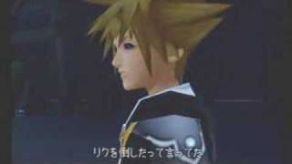 Totally Dumb And RANDOM Kingdom Hearts File's 2