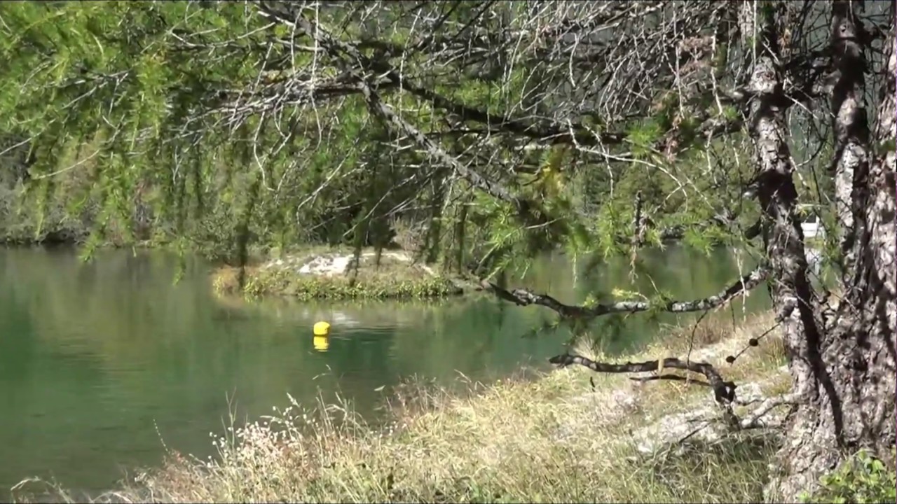 Über, am und auf dem Morteratschsee