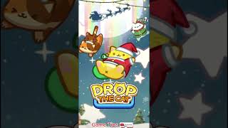 Drop the cat level 47