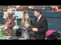 Author Interview - Westchester Cat Show