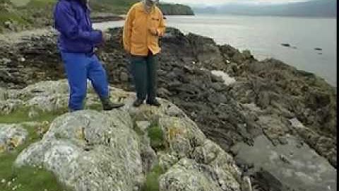 Kinematic indicators