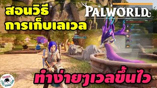 Palworld : วิธีเก็บเลเวลได้เร็ว 👍🏻💯