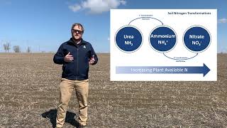 Corn Nitrogen Sources