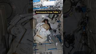 Why Astronauts Grow Taller in Space ? #space #spacefacts #ytshorts #astronaut