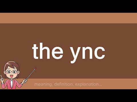 the ync