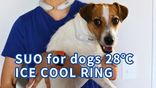 Jack & Momoのおすすめ『SUO for dogs 28℃ ICE COOL RING』