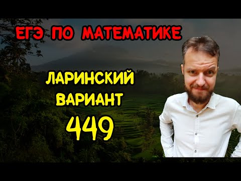 Ларинский вариант ЕГЭ №449. Математика на 100 баллов