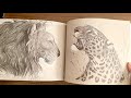 The art of aaron blaise 100 drawings quick book flip through