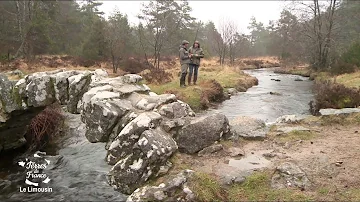 Où aller plateau des Millevaches ?