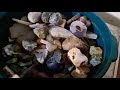 cuts and finds #THE FINDERS