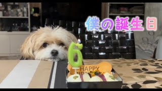 【5月5日】誕生日の日