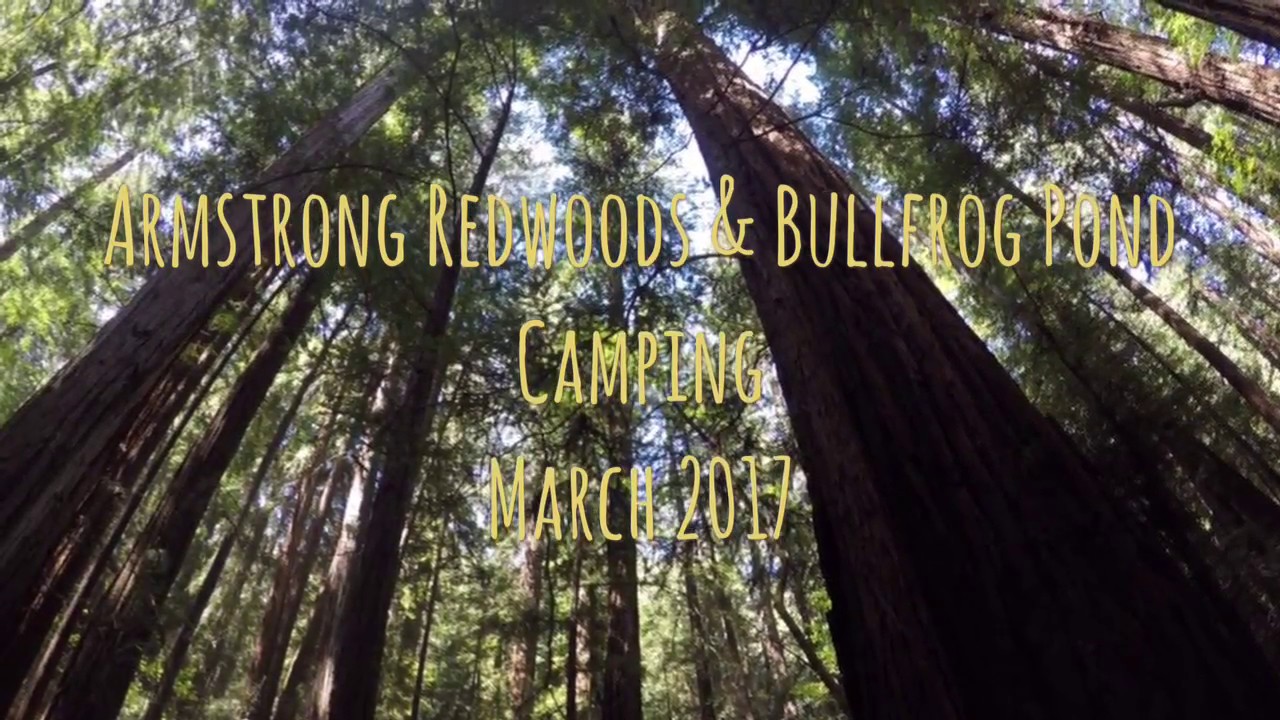 Bullfrog Pond Camping | March 2017