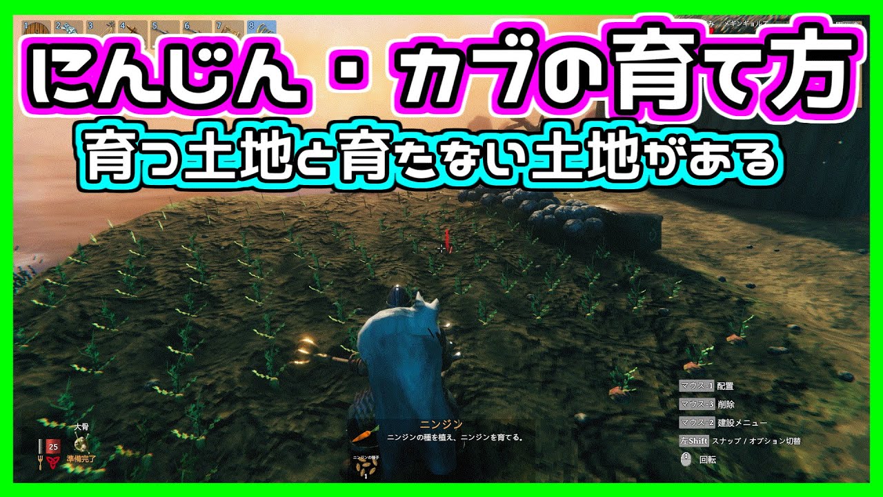 Valheim にんじん カブの育て方 土地によって育つものと育たないものがある Youtube Valheim にんじん カブの育て方 土地によって育つものと育たないものがある Youtube
