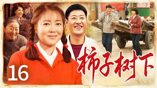 【好看年代剧】柿子树下 16  | 未婚夫悔婚另娶,农家女赌气错嫁,却在岁月中读懂丈夫,最终为爱留守大山,扛起风雨一生……(王茜华/于震)