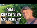 10 OPÇÕES de CERCA VIVA para fazer seu MURO VERDE com PLANTAS | Henrique Buttler