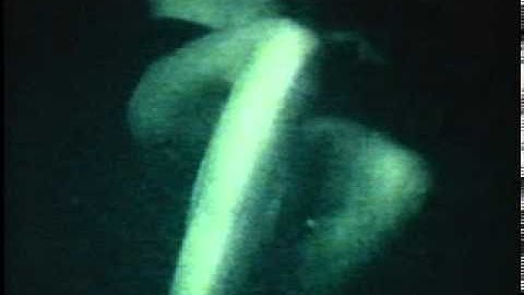 Nightswimming Extended version - Extended performance video thumbnail