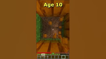 Epic Bases At Every Age in Minecraft (World