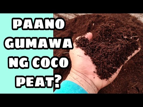 Video: Paano gumagawa ng enerhiya ang Peat?