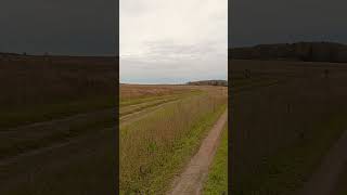 Деревенская дорога #осень #пермскийкрай #россия #shorts
