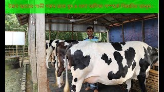 উন্নত জাতের গাভী গরুর জাত দুধ ও খাদ্য তালিকা সম্পর্কে বিস্তারিত জানুন cow farming in bd 01724-387863