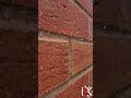 RESULTS After Dryseal Paint on Bricks - Rain is Will NOT penetrate through Bricks