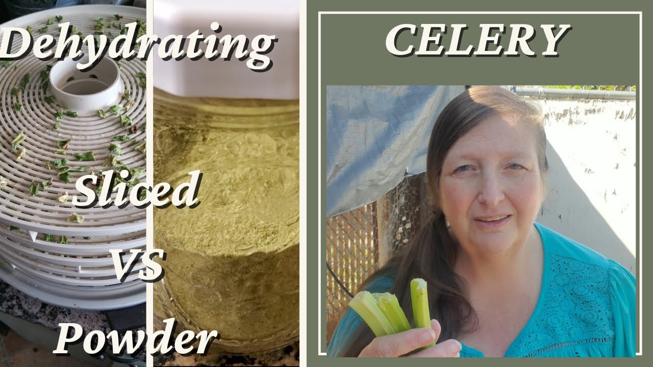 Two ways to preserve your celery harvest by dehydrating. Dehydrated
