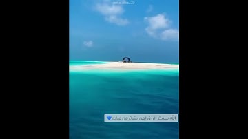 الله يبسط الرزق لمن يشاء| من سورة العنكبوت - اسلام صبحي