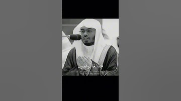 القارئ ياسر الدوسري #السعودية #فلسطين #لايك #مصر