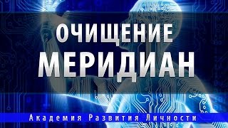 программа очищение и активация меридиональной системы