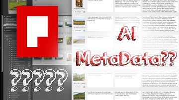 How I Edit Photo Metadata with AI