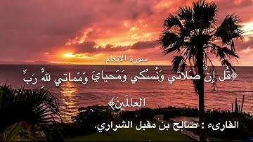 سورة الأنعام | الشيخ صالح مقبل الشراري.
