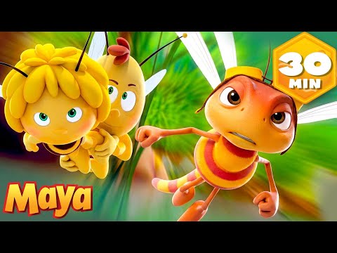 El regreso del campeón de carreras 🏁🏎️ La Abeja Maya 🐝 Recopilación | Dibujos para Niños