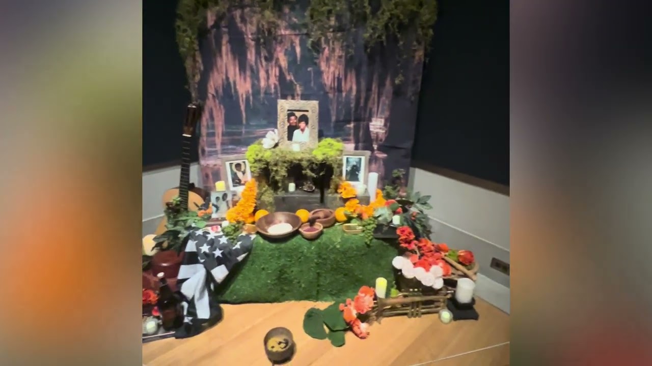 #shorts #shortvideo #short #shortsfeed #shortfeed #shortsvideo