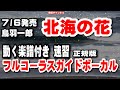 鳥羽一郎 北海の花0 ガイドボーカル正規版(動く楽譜付き)