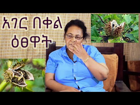 ቪዲዮ: ስፒኪ “መበለት” - በፒን የተሠራ የሚያምር የሐዘን ልብስ