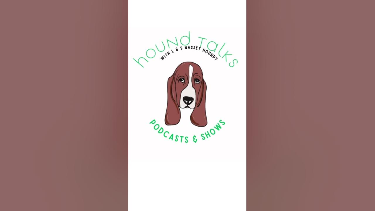 basset-hound-training-tips-youtube