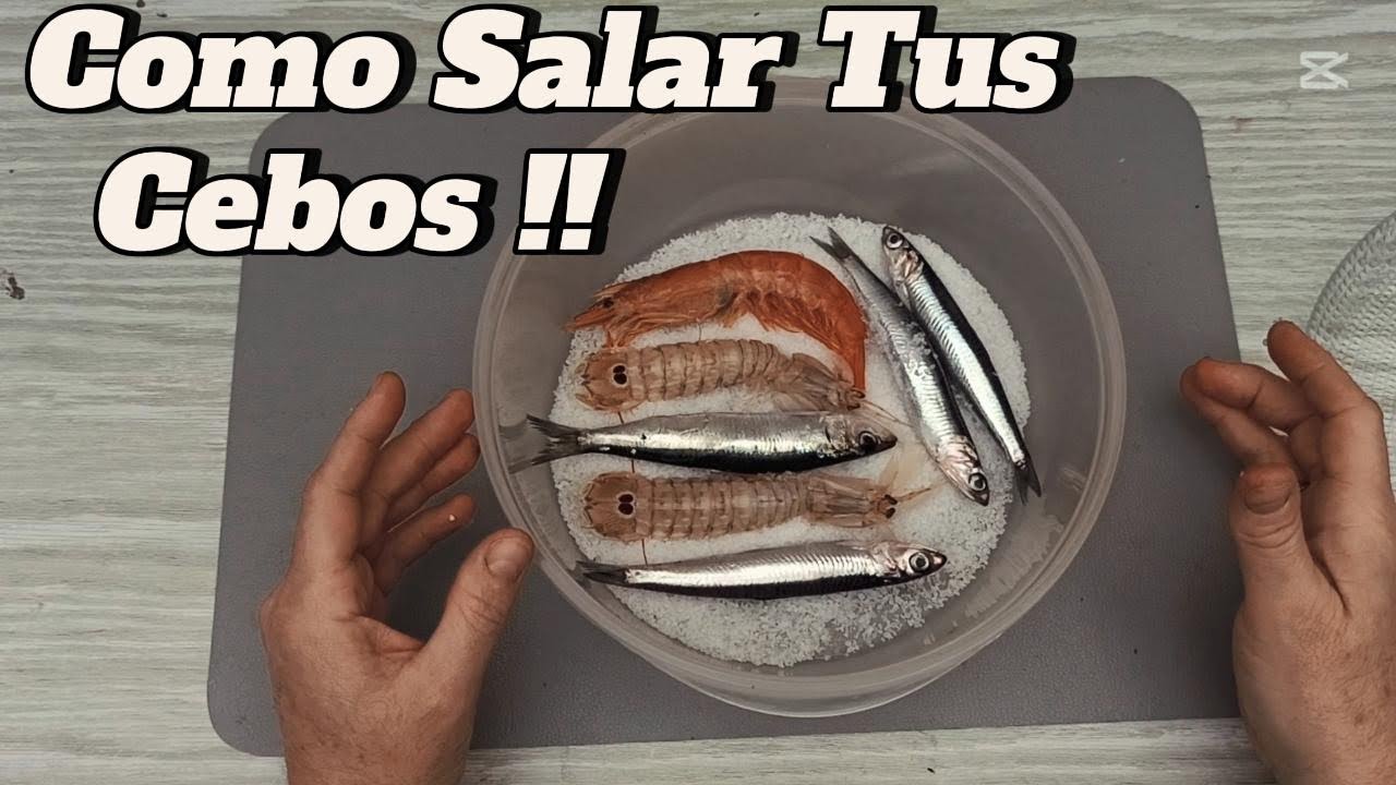 Como Salar Correctamente el Cebo!!!!!