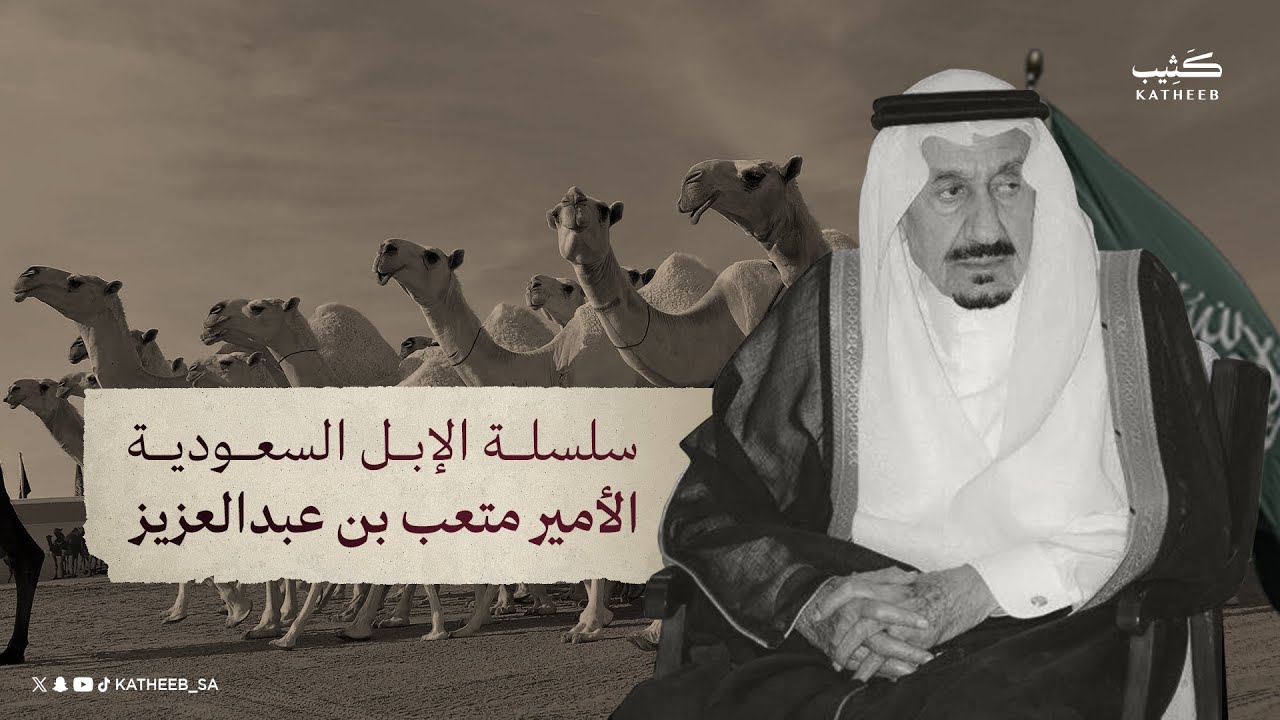 سلسلة الإبل السعودية | الأمير متعب بن عبدالعزيز - رحمه الله - | #متن