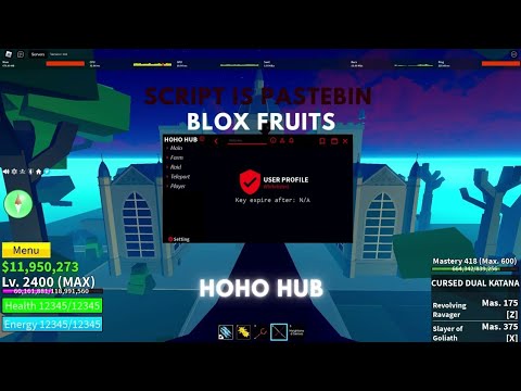 BLOX FRUIT SCRIPT MOBILE, HOHO HUB