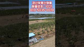 #경산부동산매물 #경산토지매매 #경산농지 #경산땅매매