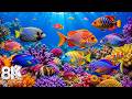 Aquarium 8K VIDEO ULTRA HD – Beautiful Aquarium Fish Moving Through Vibrant Coral Reef Paradise