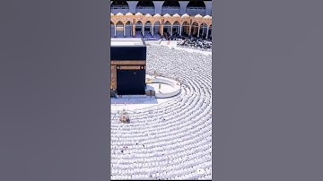 ما تيسر من سورة الحج 03